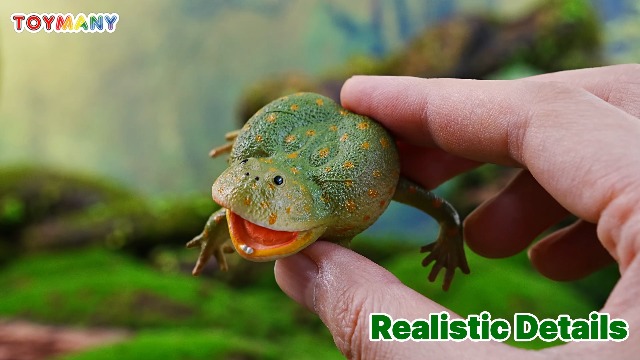 Amazon.com: Toymany Frog Toy Figures, Plastic Rainforest Woodland